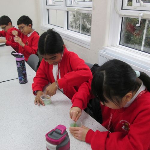 Science at Raynes Park High School
